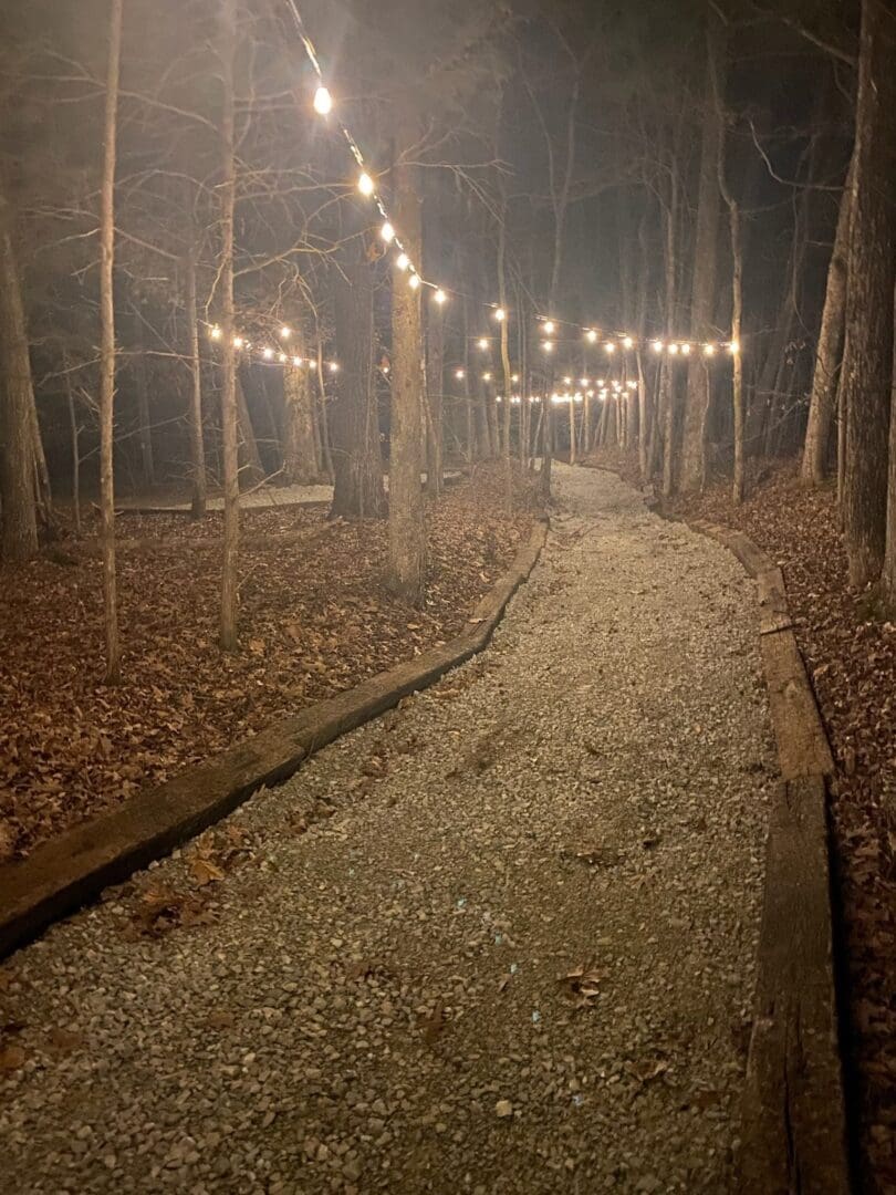 A gravel path winding through a dimly lit forest with string lights.