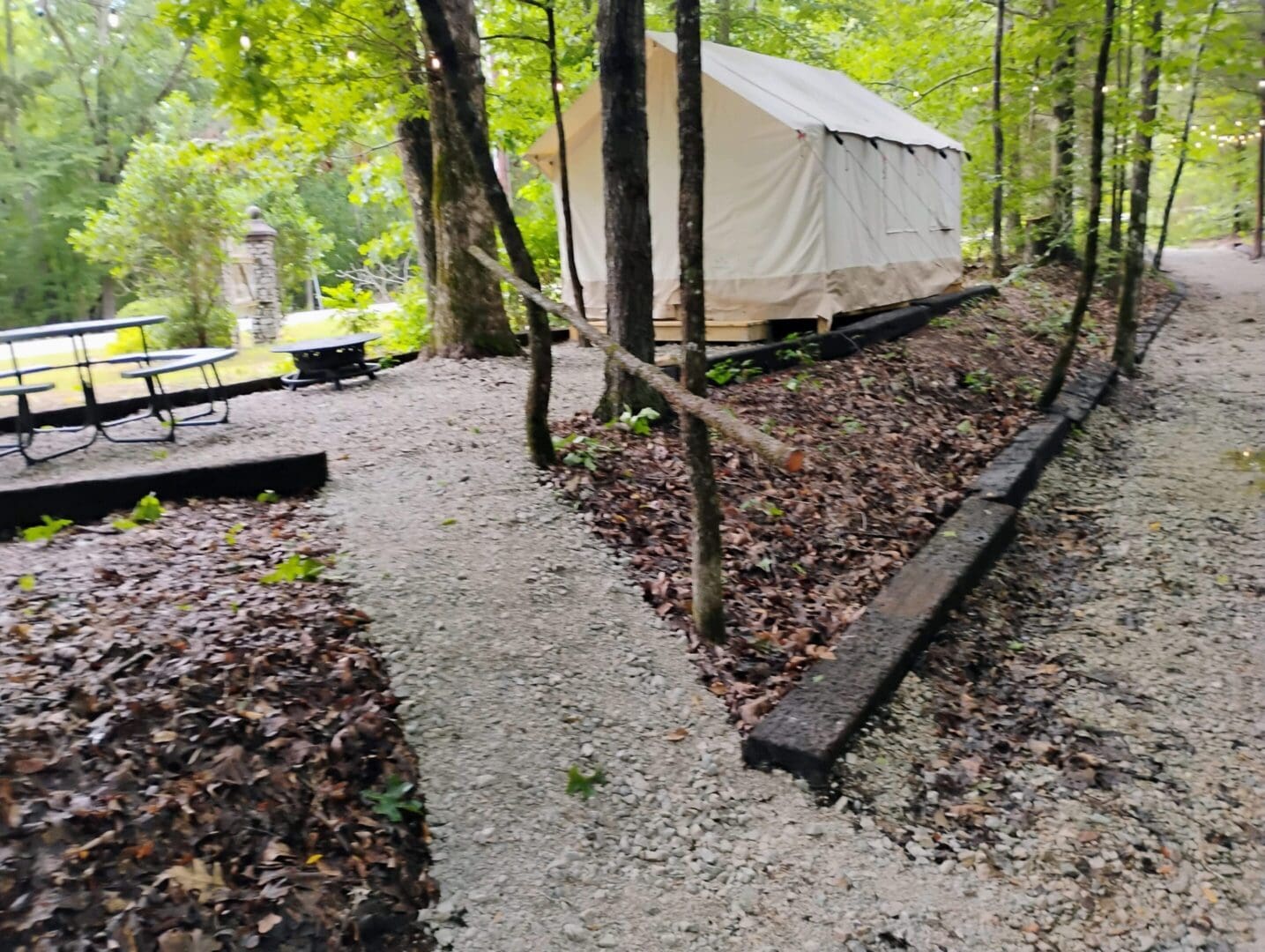 A gravel pathway leading to a white tent in a wooded area.