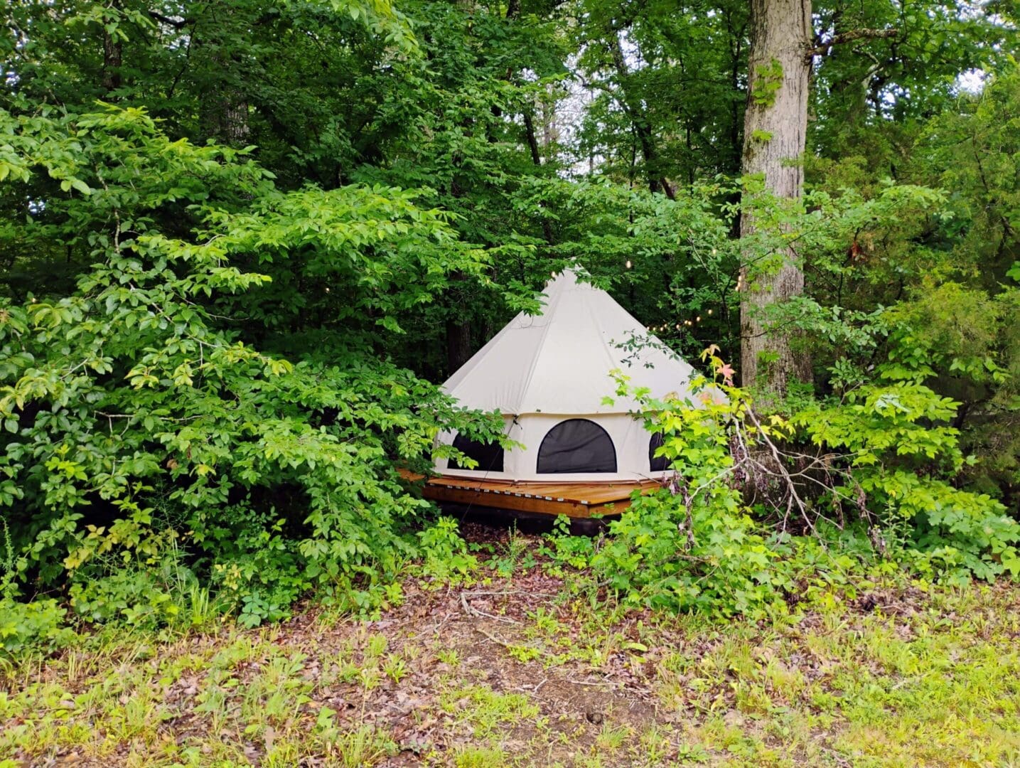 A rustic outdoor pizza oven surrounded by greenery.