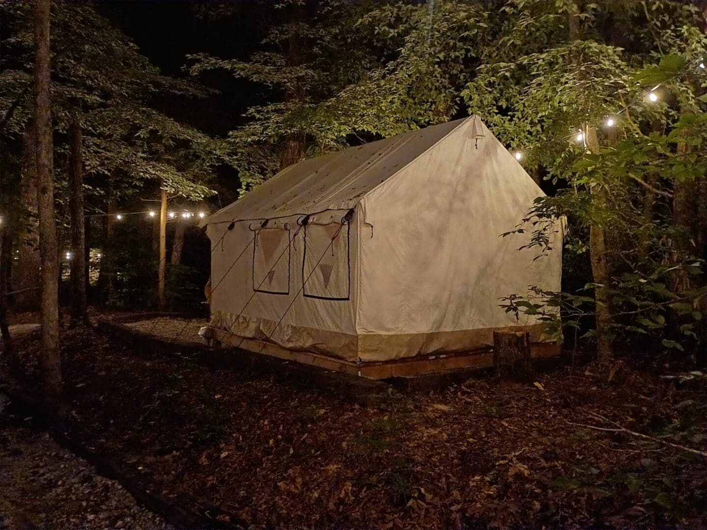 Canvas glamping tent among trees at night