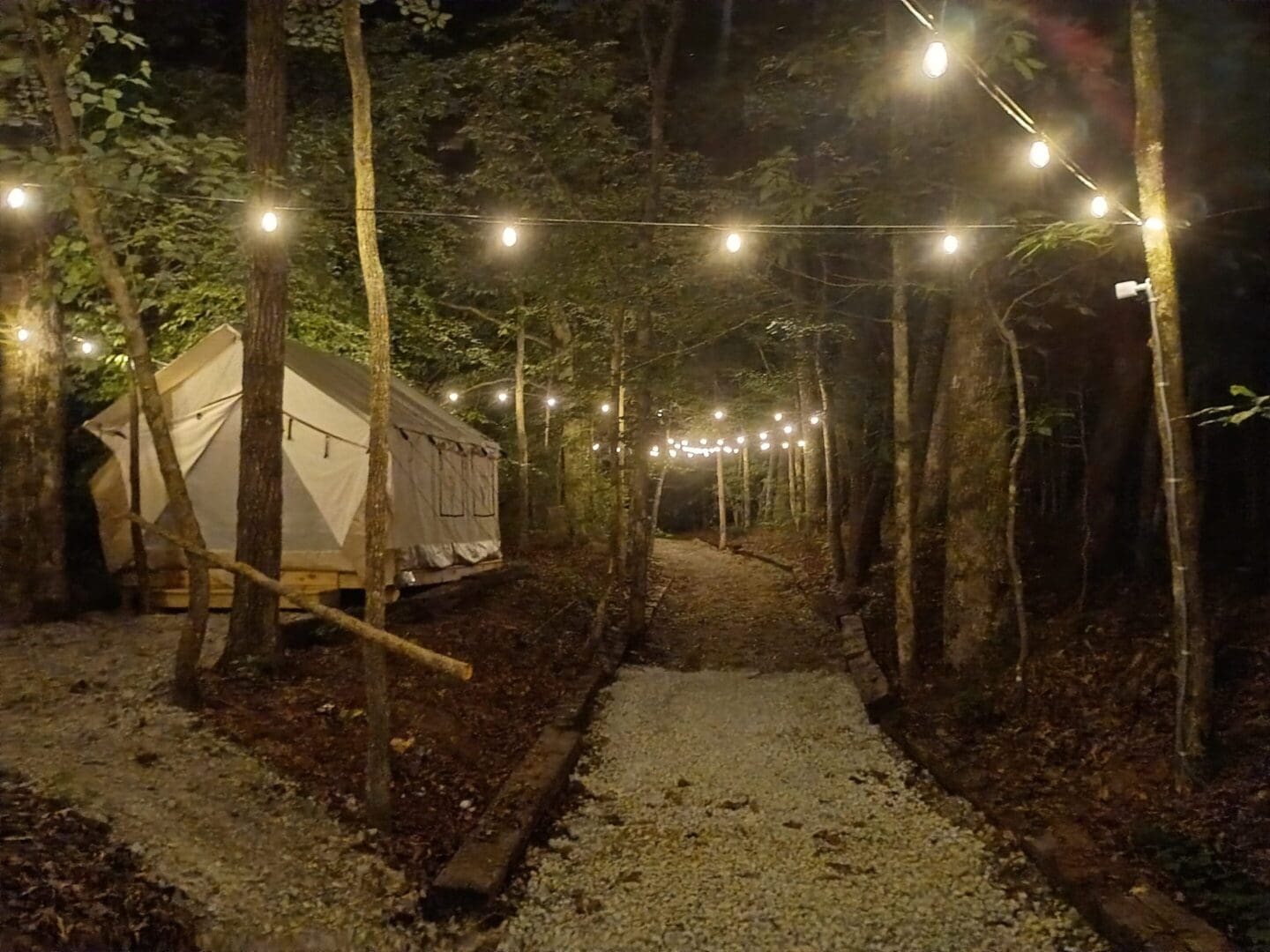 Forest campsite with string lights at night.