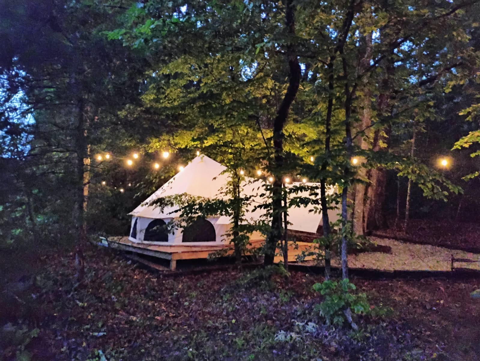 A lit white tent in a wooded area at night.