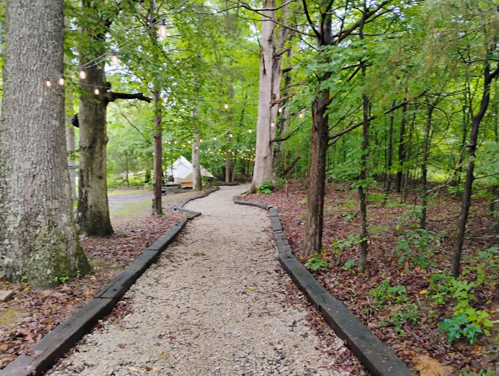 A winding gravel path through a lush green forest.