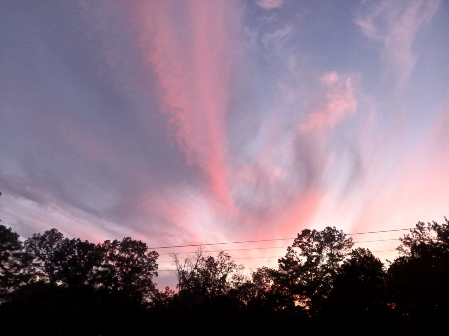 Pink sunset sky over silhouetted trees.