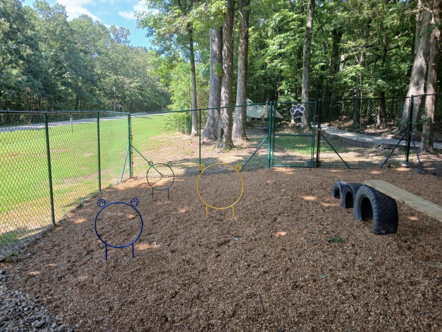 Dog play area with hoops and tires.