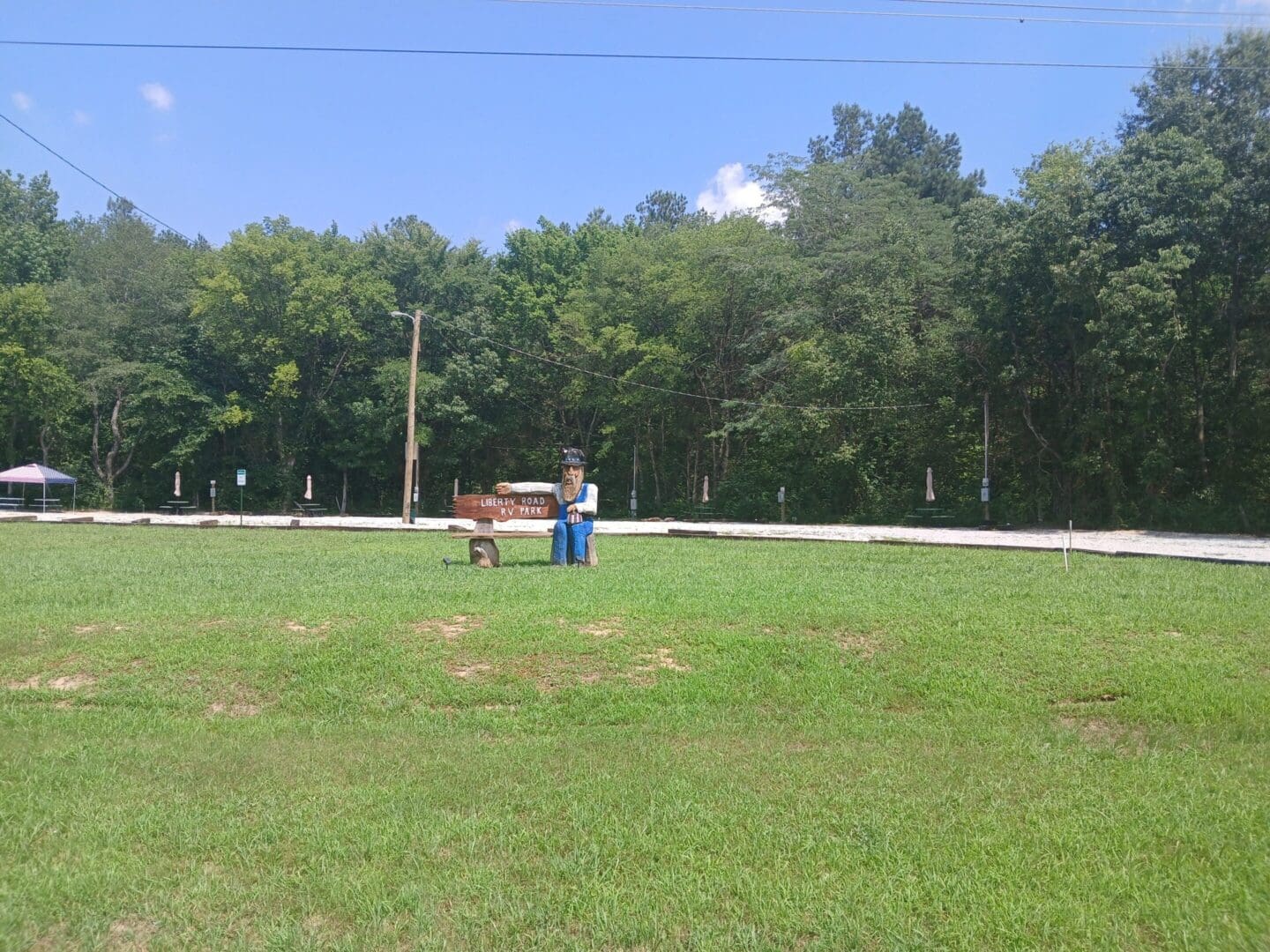 Person standing in a grassy field, trees behind.