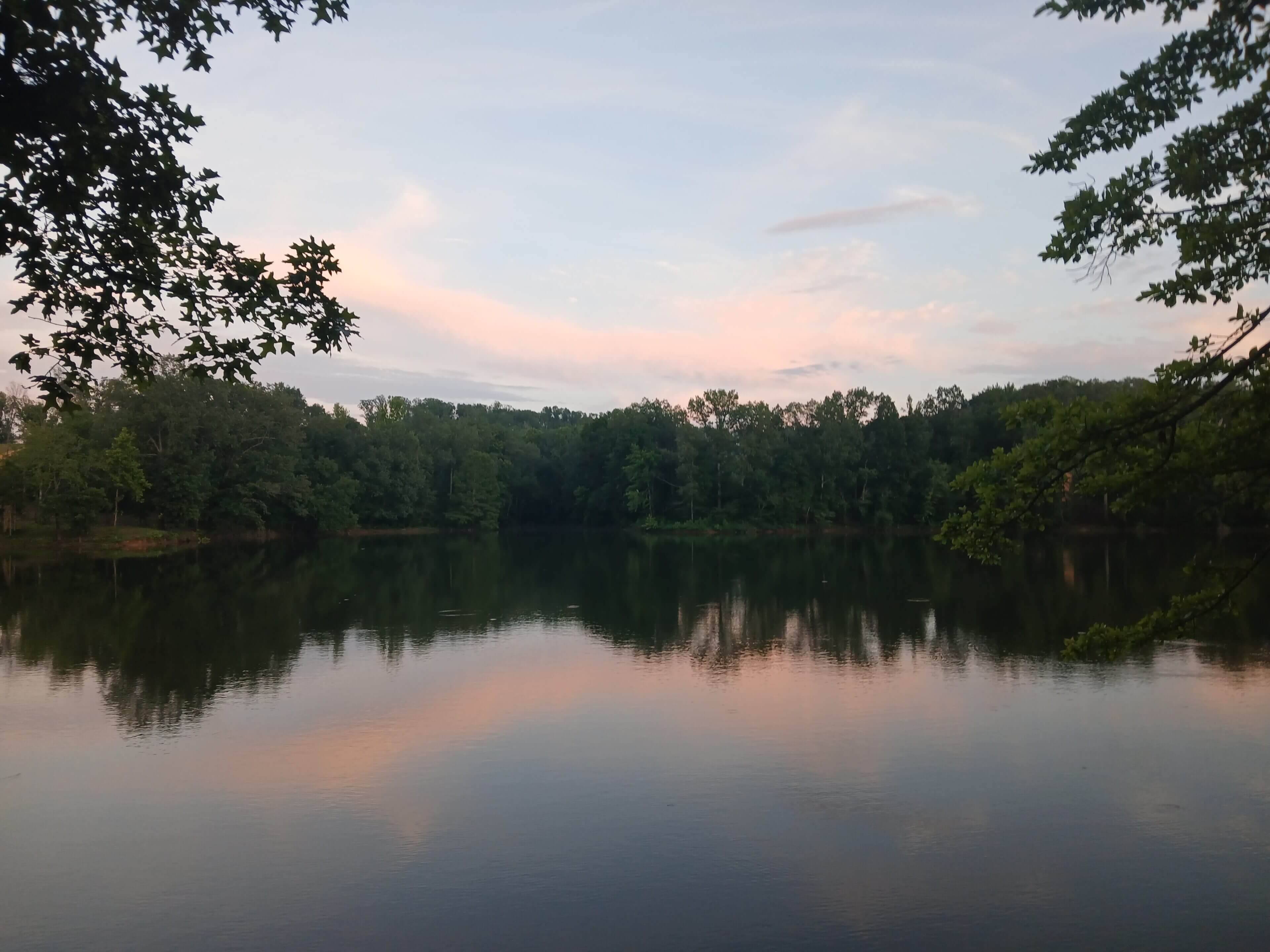 Lake with trees reflecting at sunset.