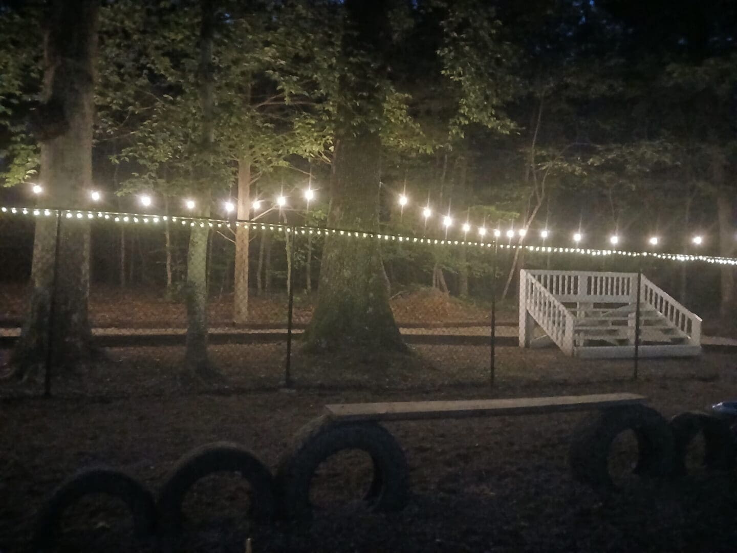 Wooded area lit by string lights at night
