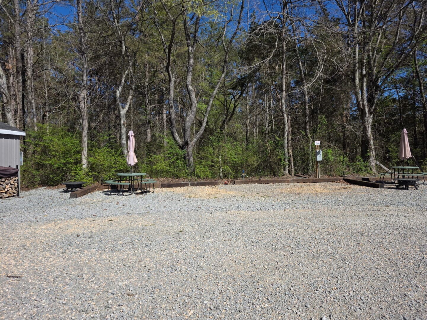 Gravel campsite with picnic tables and forest
